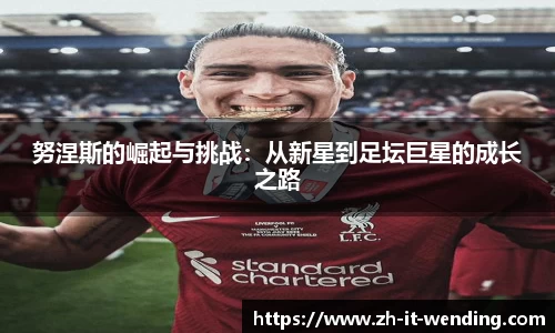 努涅斯的崛起与挑战：从新星到足坛巨星的成长之路